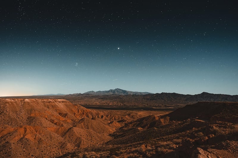 Desert Nights